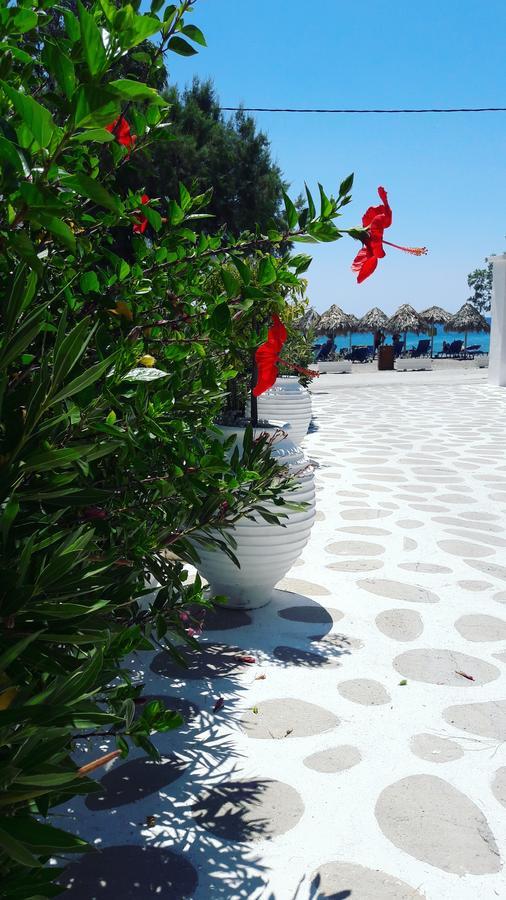 Avra Palm Aparthotel Ierapetra  Exterior photo